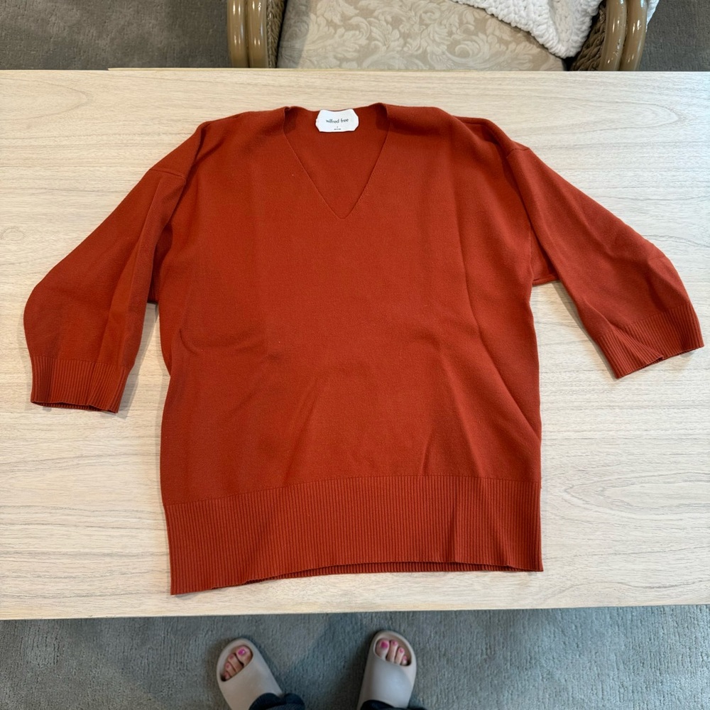 Aritzia Wilfred Free Souvenir Sweater